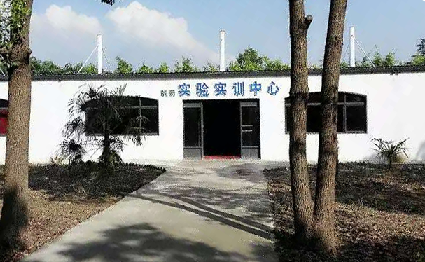 中職高職學校 中職高職學校