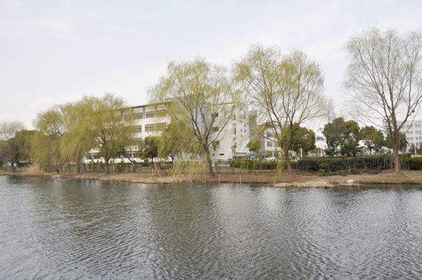 中職高職學校 中職高職學校